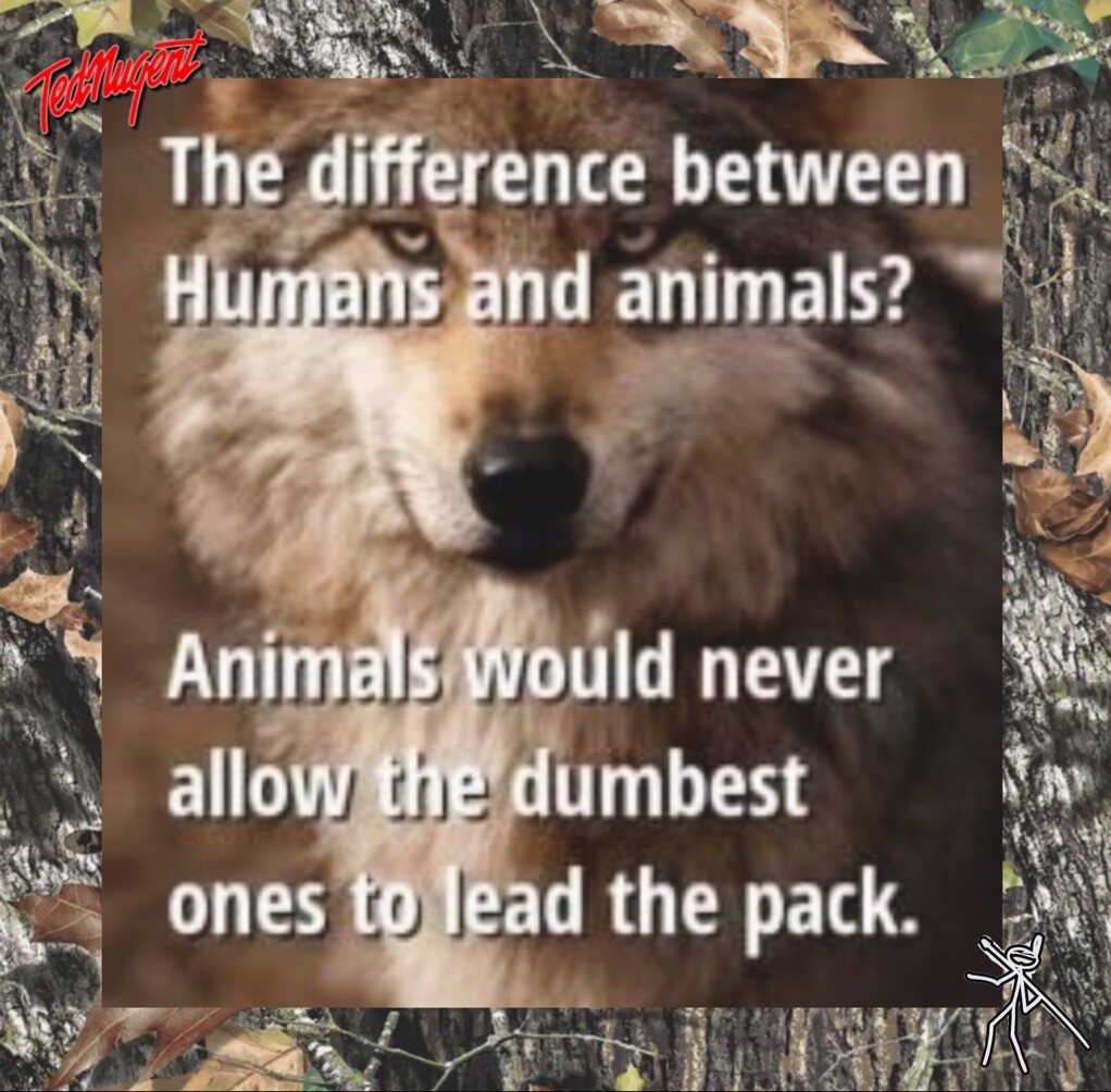 The difference between humans and animals...